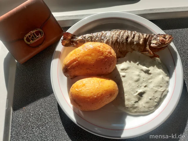 Gegrillte Regenbogenforelle (Fi) mit einer großen Ofenkartoffel und Sauerampfer-Dip (La,Sf), dazu ein Beilagensalat nach Wahl