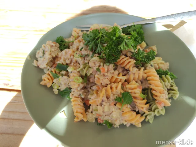 Penne mit Haschee nach Omas Art (Gl,Sl,So)